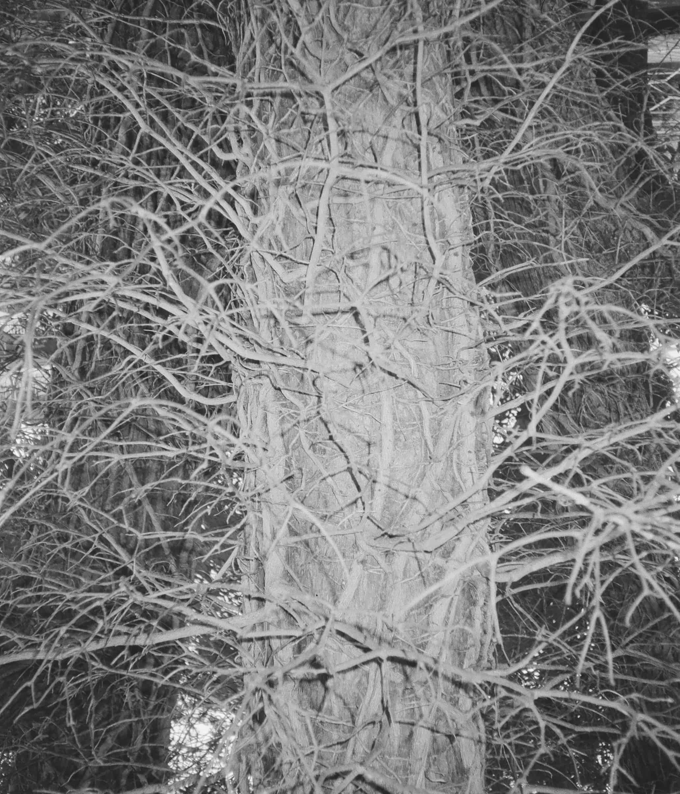AGBAH Image 11